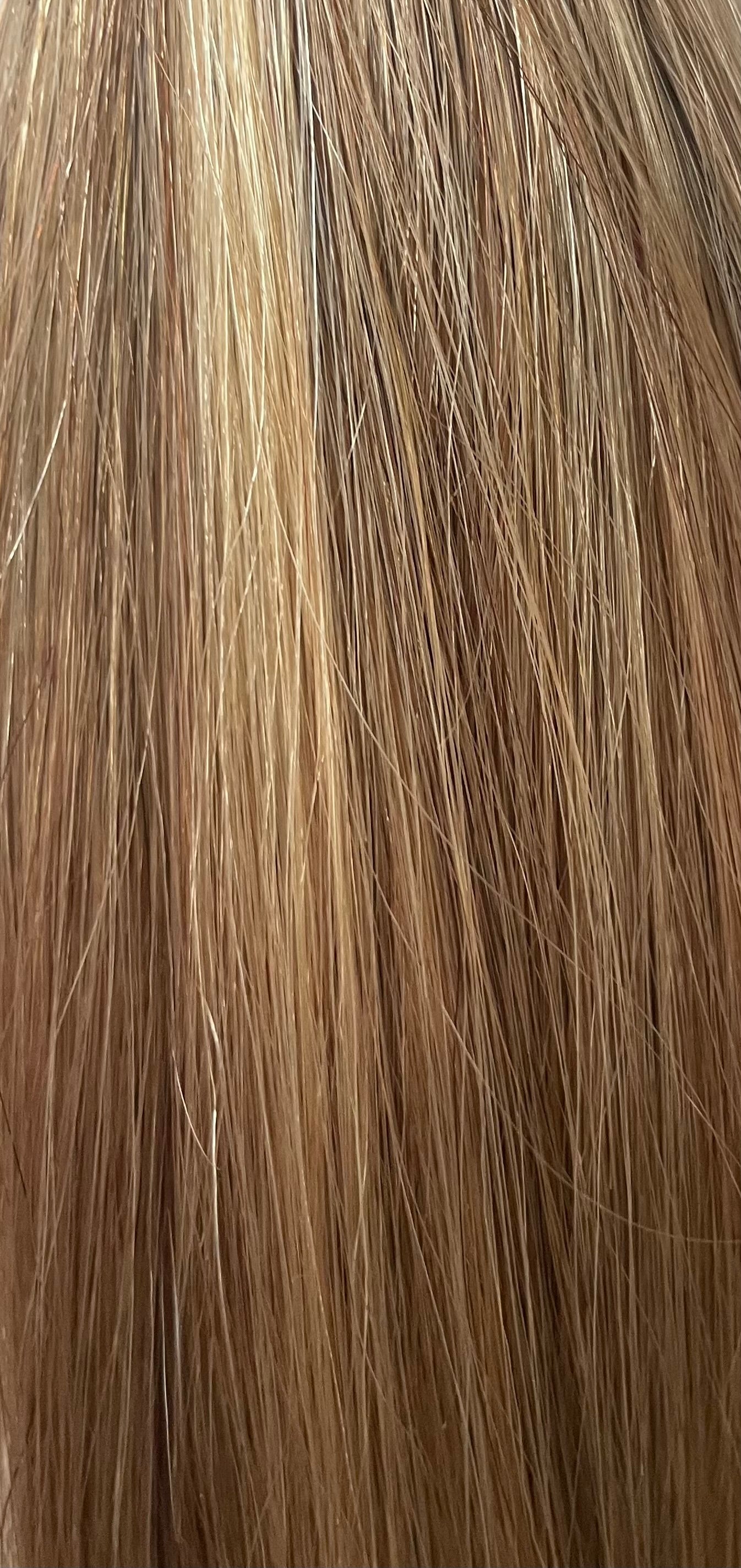 WARM LIGHT BROWN/BLONDE #6/27