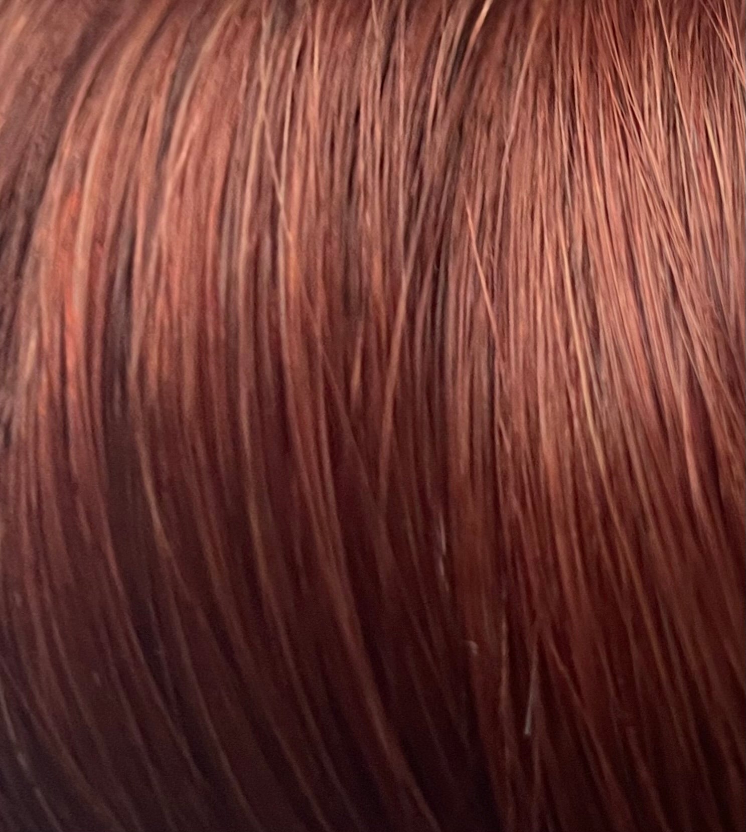 GINGER RED SENSATION #32